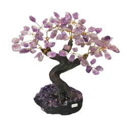 Bonsai Ametista 30cm