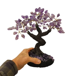 Bonsai Ametista 30cm