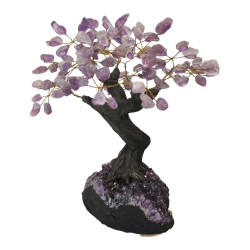 Bonsai Ametista 30cm